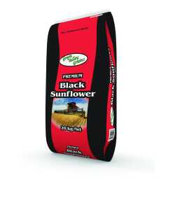 GREEN VALLEY BLACK SUNFLOWER 20KG