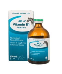 VITAMIN B1 100ML