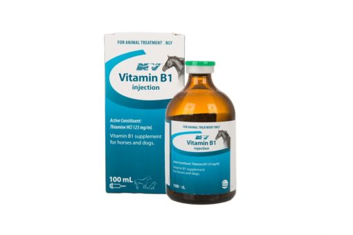 vitamin b1 100ml vitamin b1 100ml