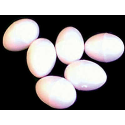 BROOD EGGS PLASIC LRG