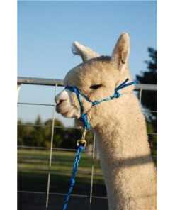HALTER ROPE ALPACA