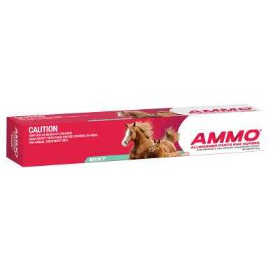 AMMO HORSE PASTE