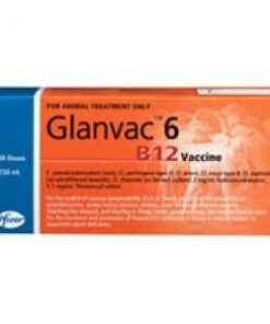 GLANVAC 6 B12 250mL