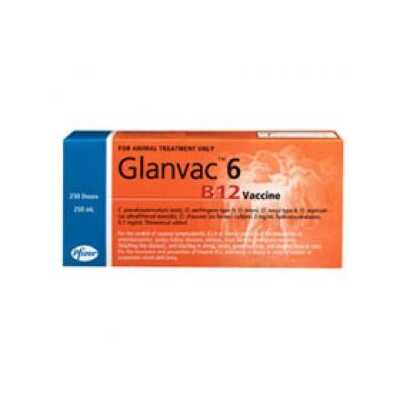 GLANVAC 6 B12 250mL