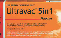 ULTRAVAC 5 IN 1 VACCINES
