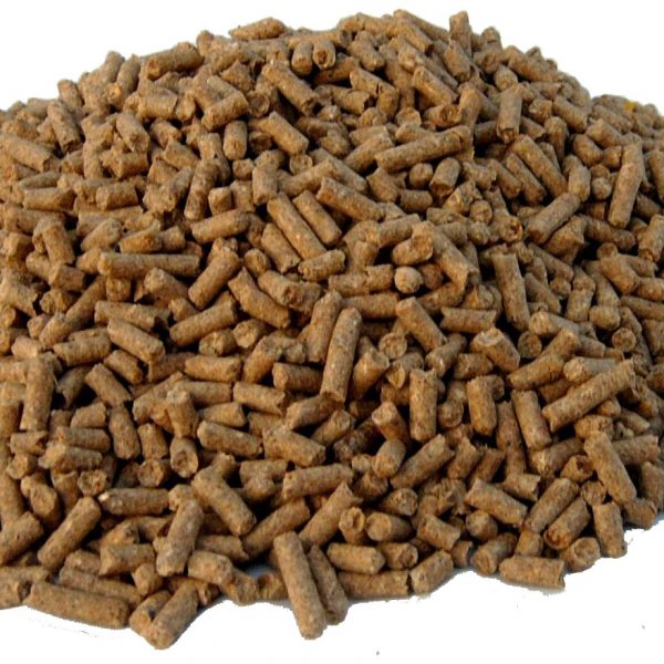 HORSE FOOD