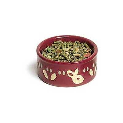 RABBIT FOOD