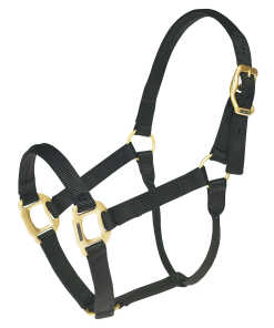 HALTERS