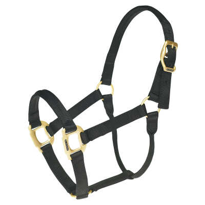 HALTERS