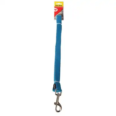 Petone Nylon padded dog lead