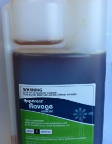 Apparent Ravage (Dicamba MCPA)