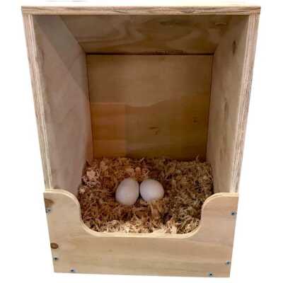 iO Single Chicken Layer Box
