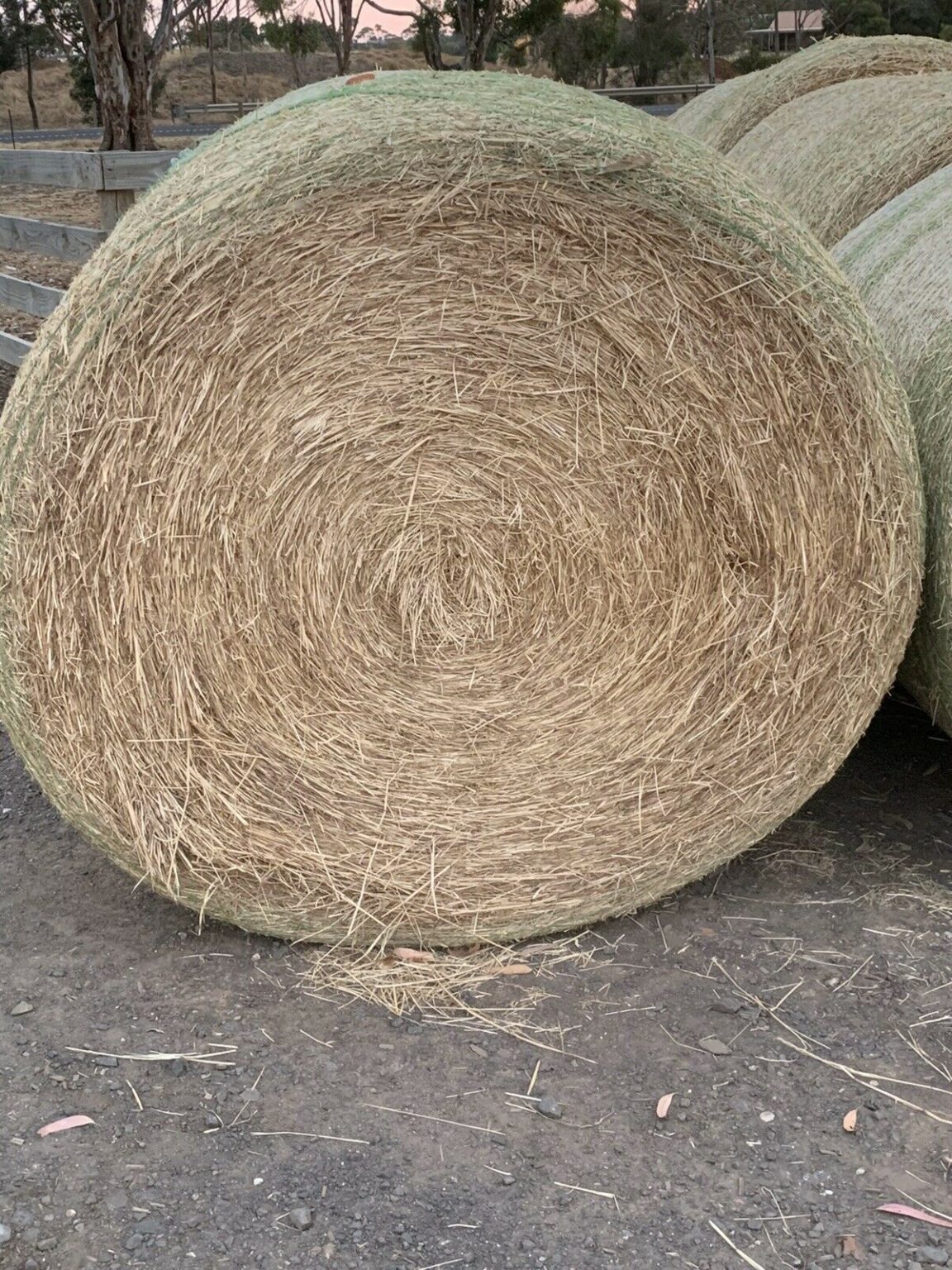 Grass hay Large round