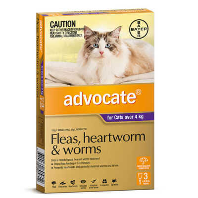 Advocate cat 4kg plus - 3pk