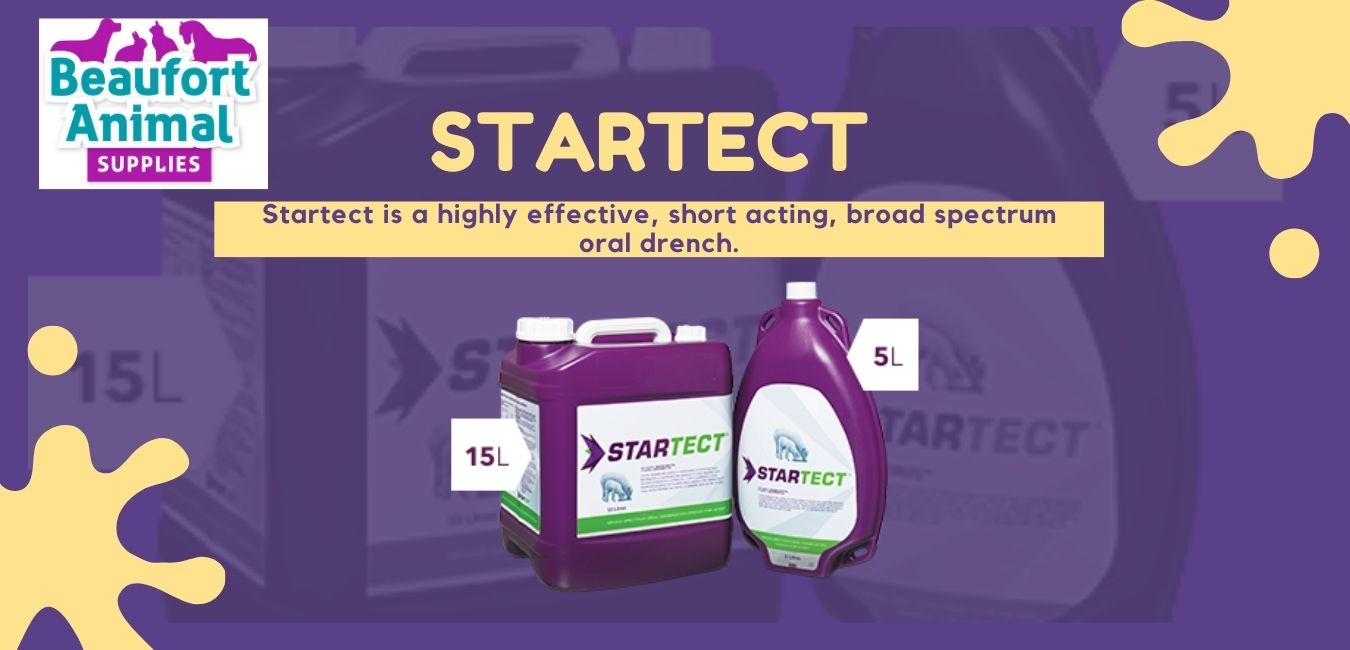 Wholesale Farm, Animal & Pet Supplies in Melbourne, Sydney & Brisbane