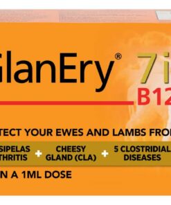 Zoetis GlanEry 7 in 1 B12 250ml