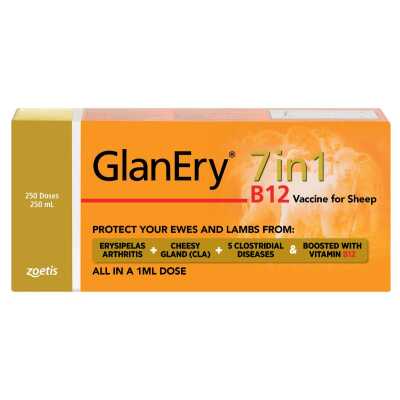 Zoetis GlanEry 7 in 1 B12 250ml