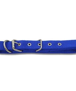 Webbed Working Dog collars