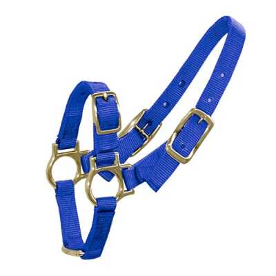 Sheep/Goat Halter - Blue