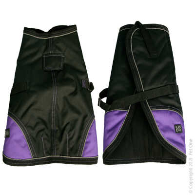 Night walker dog coat black Purple
