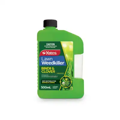 Yates Lawn weedkiller Bindii and Clover 500ml concentrate