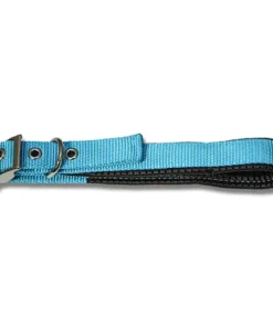 Dog Collar Padded Aqua 35cm