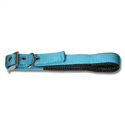 Dog Collar Padded Aqua 35cm