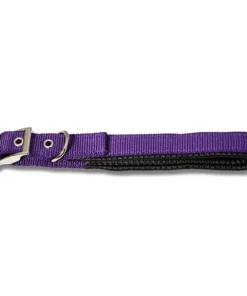 Dog Collar Padded Purple 35cm
