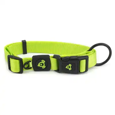 Nylon Dog Collar Premium Large - Green