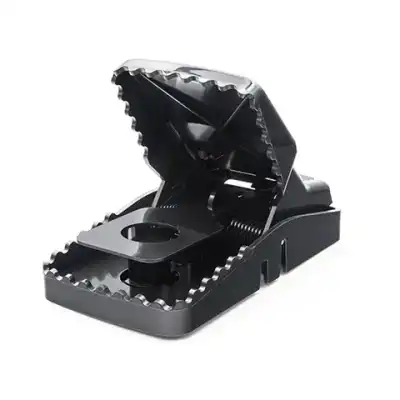 Bainbridge Mouse Trap Snap  2Pk Plastic