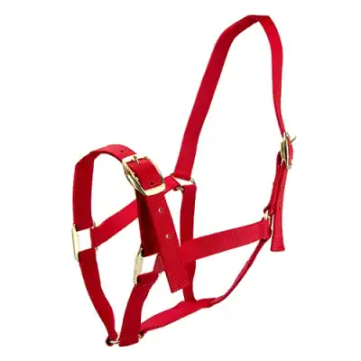 Bainbridge Horse Halter Full - Red