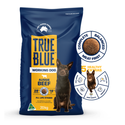 True Blue working dog beef