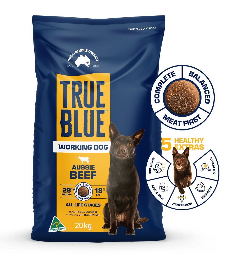 True Blue working dog beef