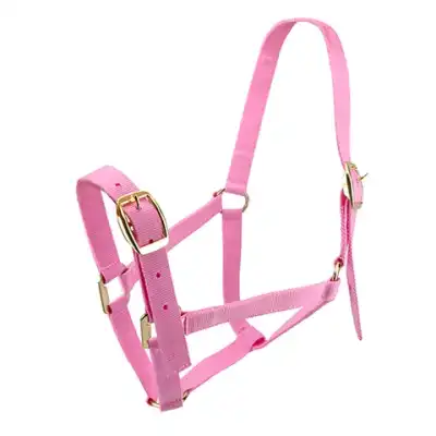 Bainbridge Horse Halter Full Pink adjustable nylon horse halter