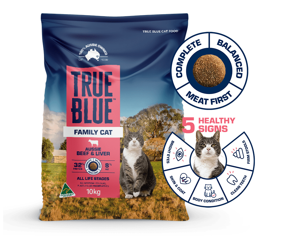 True Blue cat beef