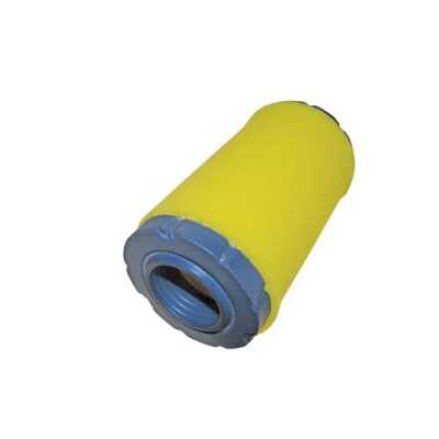 Briggs & Stratton air filter
