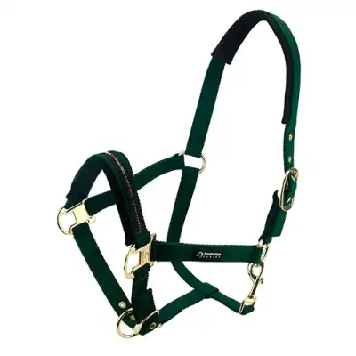 Bainbridge Horse Halter - Full - Green