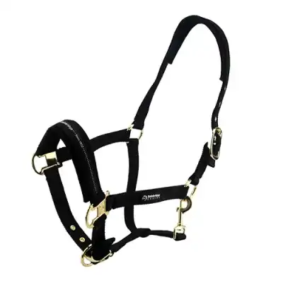 Bainbridge Horse Halter - Pony - Black