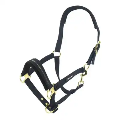 Bainbridge Horse Halter - Full - Blue