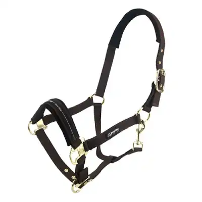 Bainbridge Horse Halter - Full - Brown