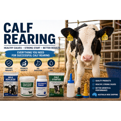 CALVING