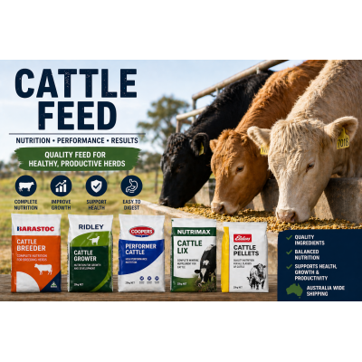 CATTLE FOOD