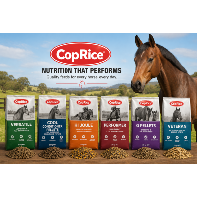 COPRICE HORSE