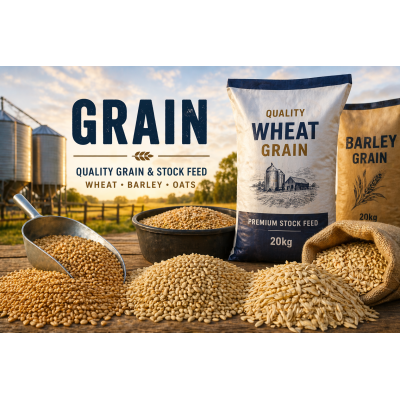 Grains