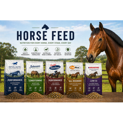 HORSE FOOD