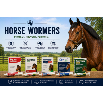 WORMERS HORSE