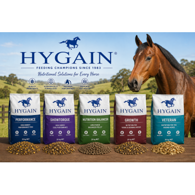 HYGAIN HORSE