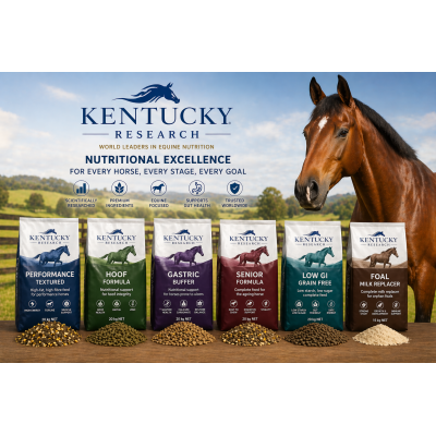 KENTUCKY RESEARCH