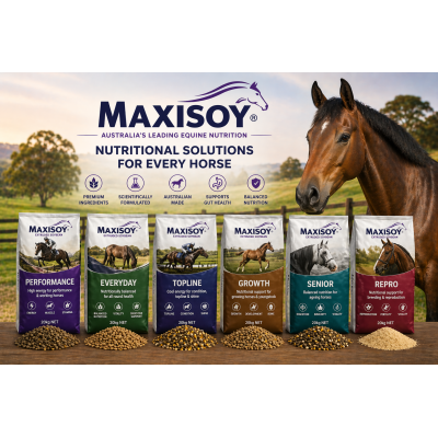 MAXISOY