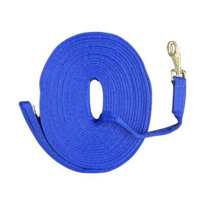 Lunge Rein 30 In Bag - Blue